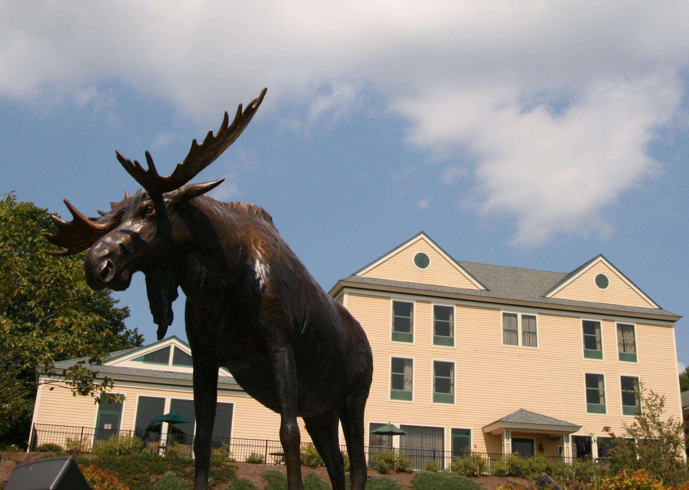 Hampton Inn Freeport/Brunswick Exterior foto